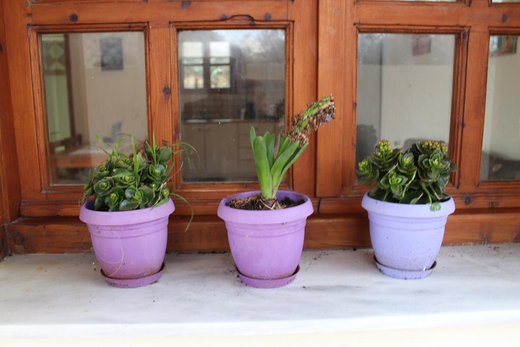 Felia Villa Stavros  Exterior photo